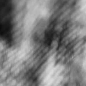 Meet your Posher, Ethan